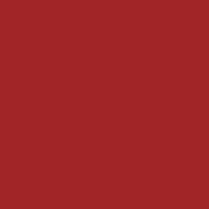 Liquid lipstick – Royal Baraat
