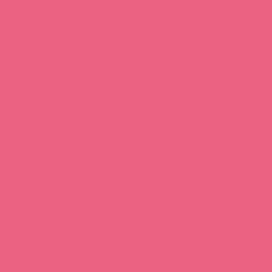 Liquid Lipstick- Kashmiri Tea
