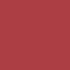 Liquid Lipstick- Children of Palestine